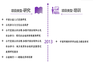 要大鸡巴插好大好爽非评估类项目发展历程